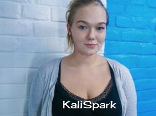 KaliSpark