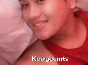 Kinkycum_ts