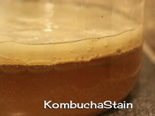 KombuchaStain