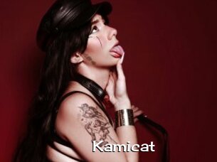 Kamicat