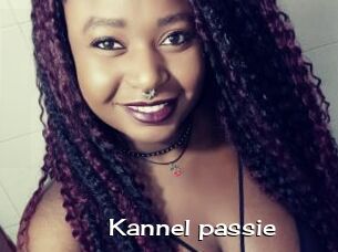 Kannel_passie