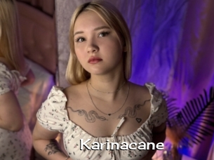 Karinacane