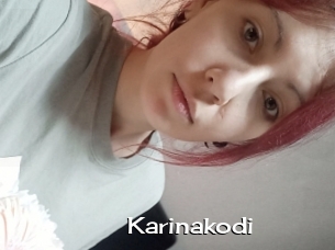Karinakodi