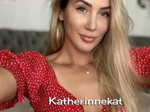 Katherinnekat