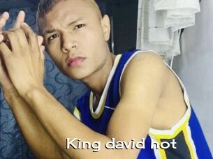 King_david_hot
