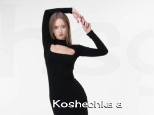 Koshechka_a