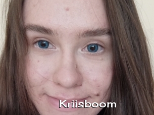 Kriisboom