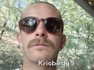 Krisbirdy