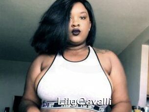 Lily_Cavalli
