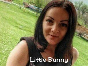 Little_Bunny_