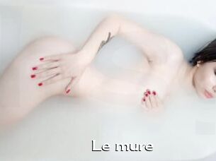 Le_mure