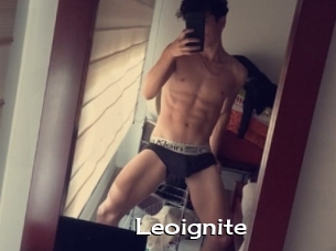 Leoignite