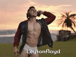 Leytonfloyd