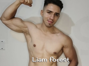 Liam_forest