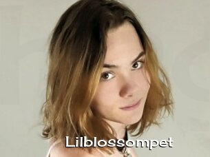 Lilblossompet