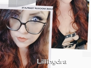 Lillihydra