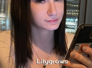 Lilygrows