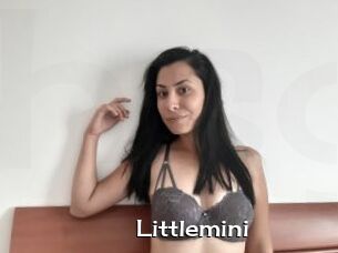 Littlemini