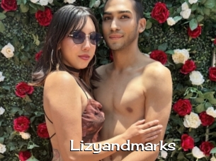 Lizyandmarks