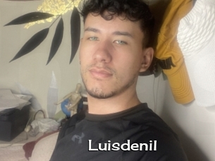 luisdenil Hardcore Sex Gif
