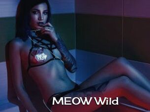 MEOW_Wild