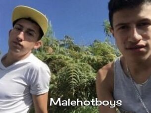 Malehotboys