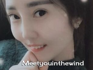 Meetyouinthewind