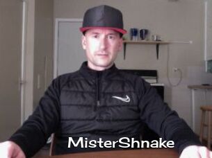 MisterShnake