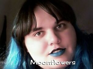 Moonflowers