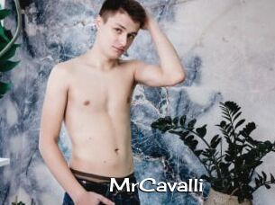 MrCavalli