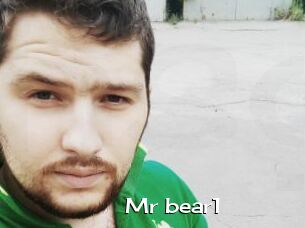 Mr_bear1