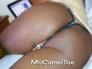 MsCamelToe