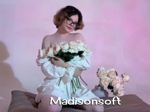 Madisonsoft