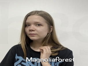 Magnoliaforest