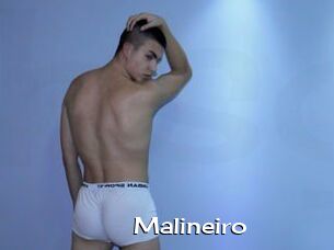 Malineiro