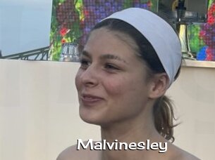 Malvinesley