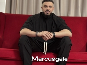 Marcusgale