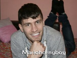 Mariohornyboy