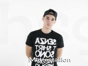 Mattestallion