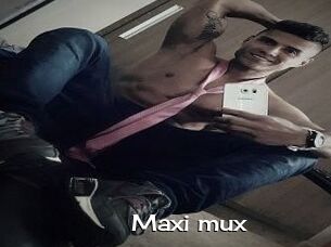 Maxi_mux