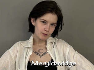 Meryldavidge