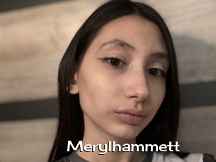 Merylhammett