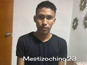Mestizochino23