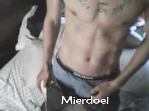 Mierdoel