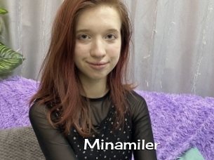 Minamiler