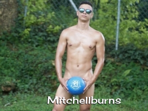 Mitchellburns