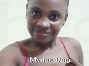Mollineakinyi