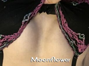 Moonflower