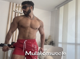 Mulatomuscle
