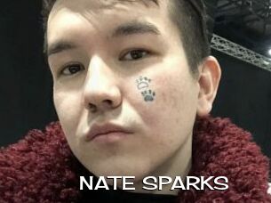 NATE_SPARKS